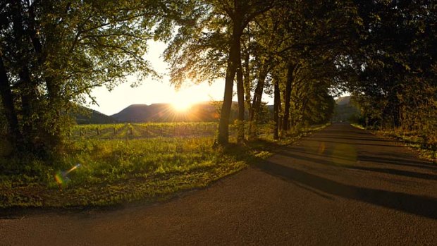 Italian influence ... Prosecco Road wine trail through King Valley.