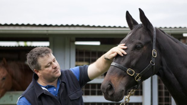 Pressing ahead ... Wyong trainer Stephen Farley with his one-time Stradbroke favourite Sincero at Deagon.