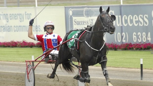 The king: Beautide is the reigning Inter Dominion champion.