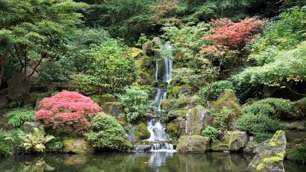 Tranquil, nurturing and encouraging contemplation: A Japanese garden.