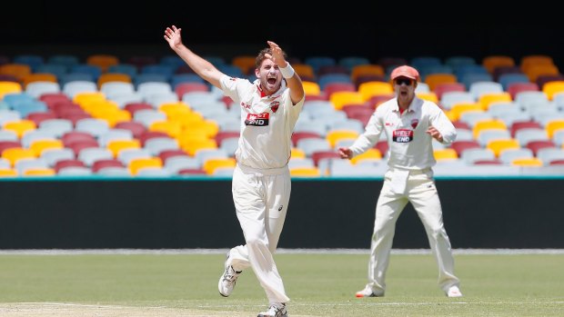 Bolter: Chadd Sayers is in the frame for a debut on his home ground.