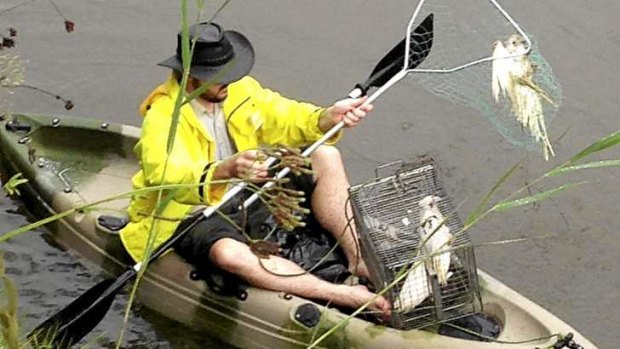 A volunteer plucks out a dead little corella from waters near Dubbo.