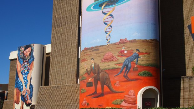 Murals at Central TAFE.