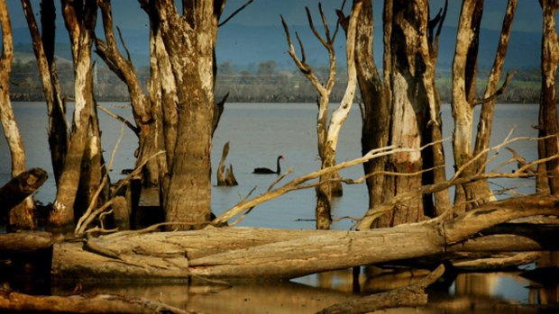Land surrounding the  depleted Lake Mokoan in north-east Victoria will be sold to help pay for the restoration of the lake as a wetlands area.