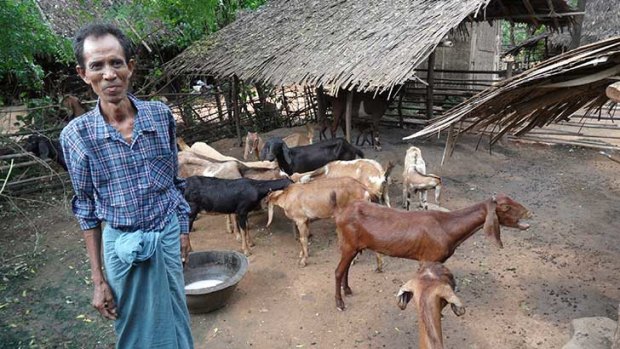 Improving goat and sheep production through better animal health services will help boost the income and livelihoods of Myanmar’s rural poor.  Photo: Angus Campbell.