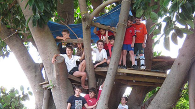Children in their Newmarket treehouse, which has since been pulled down by council.