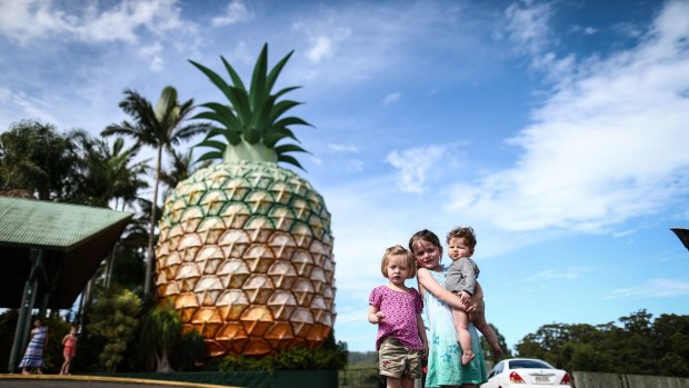 The Big Pineapple in Woombye. Series on the Ellinghausen sisters' roadtrip from Canberra to Sunshine Coast and stopping at Australia's 'big things' along the way. Photo: Alex Ellinghausen