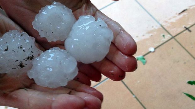 Hailstones from the storm in Tamworth on Monday.
