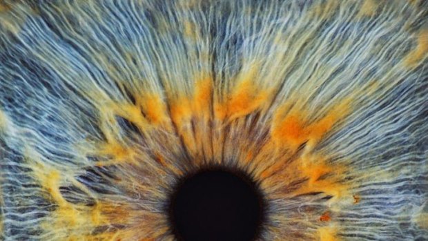 Unlocking the Mystery of Iris Recognition