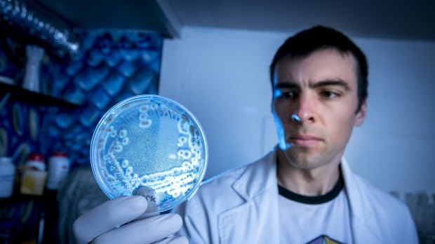 Mr Gray with bacteria samples at a lab in Brunswick. 