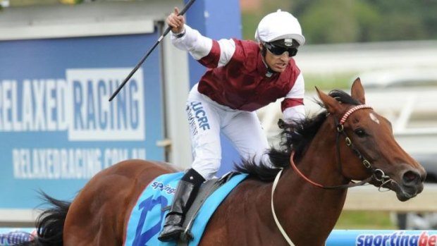 Hard to beat: Earthquake confirmed her Golden Slipper credentials with a convincing win in the Blue Diamond Stakes on February 22.