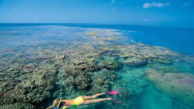 Snorkelling on reef off <span class="highlight">Whitsunday</span> island