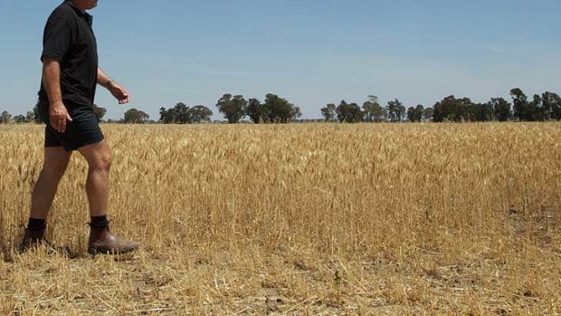 The WA Farmers Federation was 'disappointed' by a $7.8 million state government emergency aid package for those on the brink of financial ruin after Premier Colin Barnett rejected its call for a $100 million low-interest loan scheme.