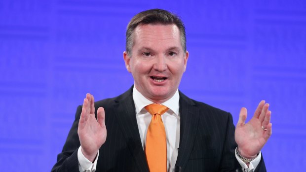 Shadow treasurer Chris Bowen said a price on carbon remained central to Labor's platform.