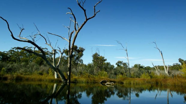The creation of Dharawal National Park, after initial drilling proposals were approved in 2009, is partly responsible for Friday's refusal of Apex's CSG plans.