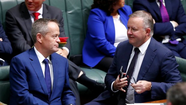 Opposition Leader Bill Shorten and frontbencher Anthony Albanese have both slammed Setka's comments.