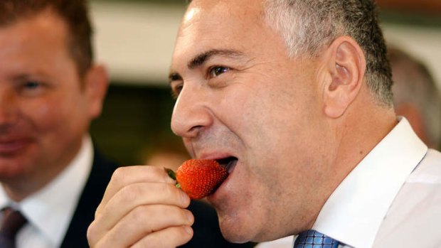 Joe Hockey: Set to unveil the Coalition's election costings on Thursday.