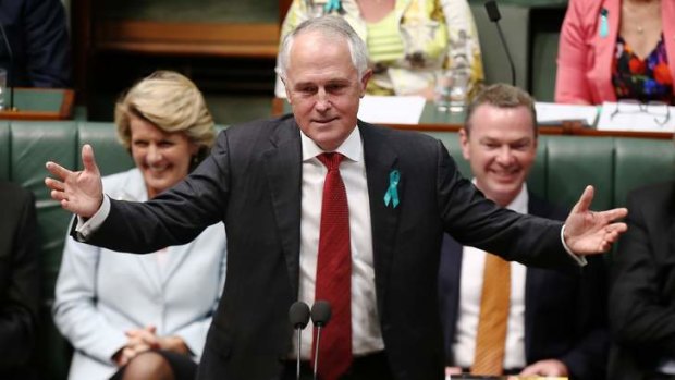 Federal Communications Minister Malcolm Turnbull in Parliament.