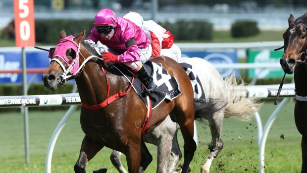 Shining brightly: Jim Cassidy rides Metallic Crown to victory at Randwick on Saturday.