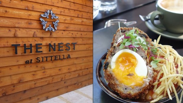 Scotch egg at The Nest.