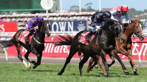 Red Cadeaux loses out narrowly to Fiorente in the 2013 Melbourne Cup.