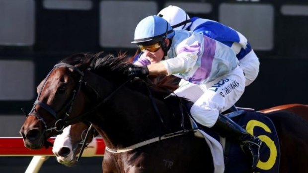 Time to celebrate: Robert Thompson boots home his 4000th winner at Newcastle on Saturday.