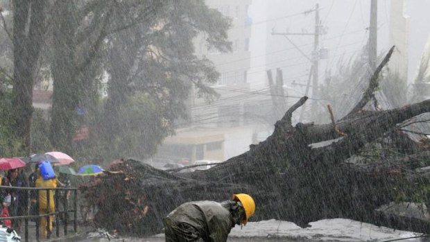 A worker inspects a damaged electrical post as Typhoon Nanmadol uprooted big trees in Baguio City, north of Manila.