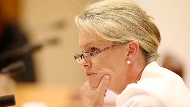 Food for thought: Senator Nash is grilled in the Senate estimates hearings on Wednesday.