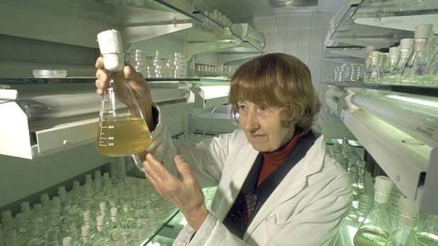 Finding a solution: Shirley Jeffrey was christened ''The Mother of Chlorophyll C'' by one of her mentors.