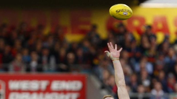 High stakes: The ball eludes Adelaide's Shaun McKernan, even at full stretch.