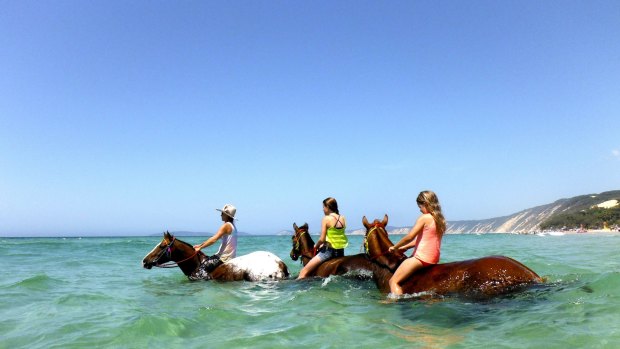 Rainbow Beach horse rides in water on the Sunshine Coast.
