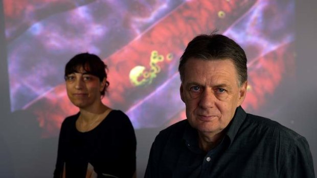 A breakthrough by Neta Regev-Rudzki and Alan Cowman could help develop new antimalarials.