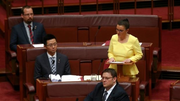 Palmer United Party senator Jacqui Lambie used her maiden speech to reiterate her calls for a royal commission into the Australian Defence Force and the Department of Veterans Affairs.