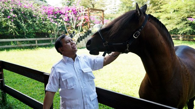 Prabowo Subianto with his horse. 