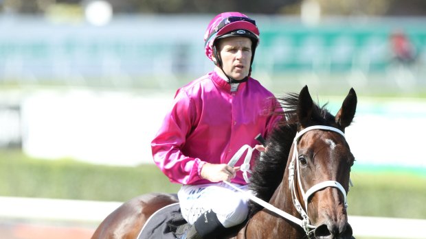 Eye for talent: Tommy Berry is keen to see how Siege Of Quebec in elite company.