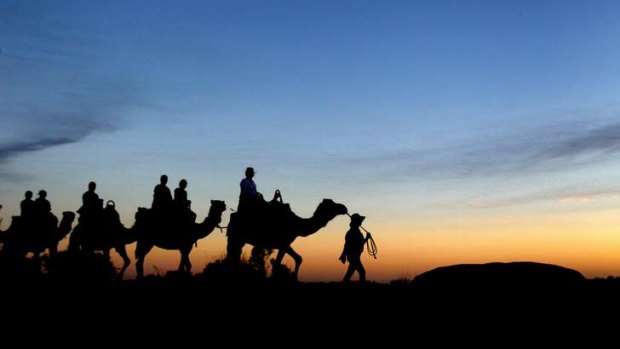 An Uluru Camel Tours group heads back to camp as the sun sets at the World Heritage-listed Uluru.