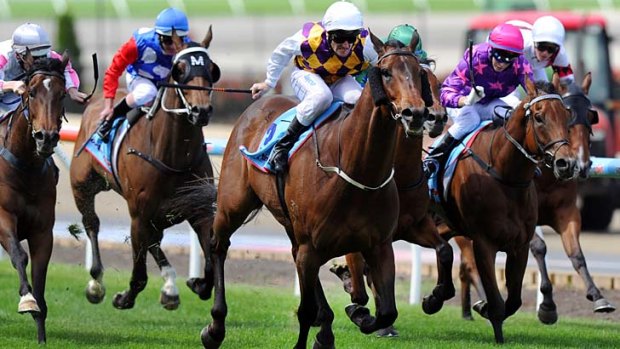 Brad Rawiller rides Commanding Time.