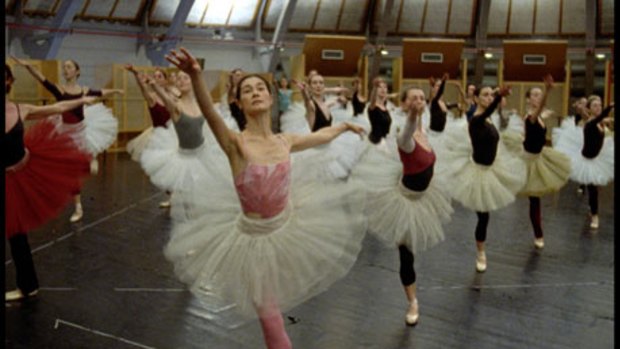 Out of step: the dancers of the Paris Ballet Opera rehearse the Nutcracker in Frederick Wiseman's three-hour yawnfest La Danse.