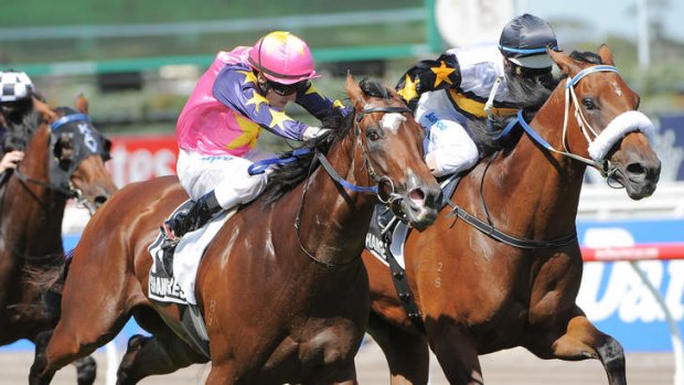 Moment of Change, inside, is favourite for the Australia Stakes at Moonee Valley on Friday night.