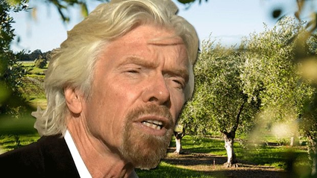 Extending the olive branch: Margaret River company wants to break bread - with olive oil of course - with Richard Branson