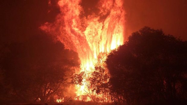 A bushfire burns on North Stradbroke Island.