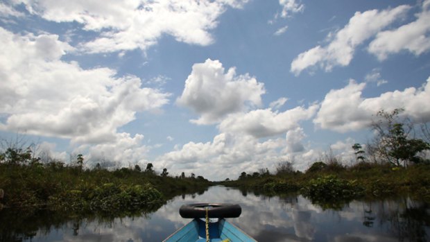 Voyage into the unknown: Australia and Indonesia are trying to rehabilitate this ruined swamp land in Kalimantan.