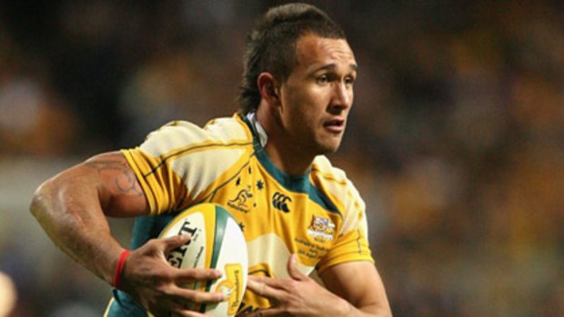 Rising star . . . Quade Cooper in action for the Wallabies earlier this year.