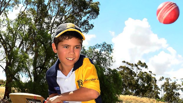 Exciting Indigenous batsman Damon Egan, 11, shows great concentration at home in Bendigo.