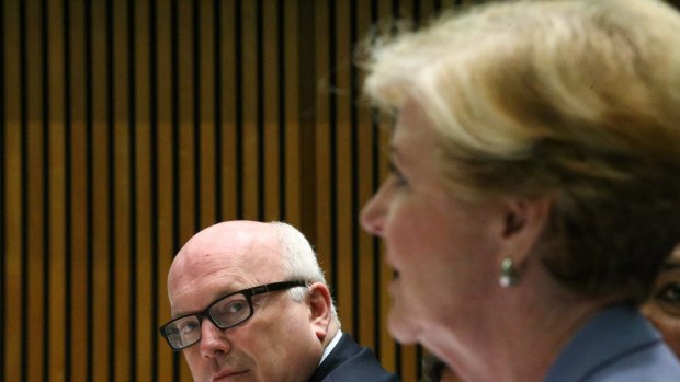 Attorney-General George Brandis and Professor Gillian Triggs during a Senate estimates hearing on Tuesday. 