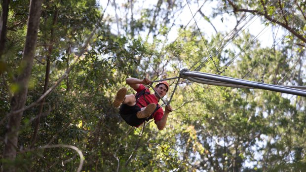 Three times the length of any tree-base zipline in the world: The Crazy Rider.