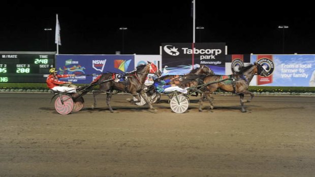 Family business: Todd McCarthy drives InterDominion outsider Seel N Print to a win at Menangle.
