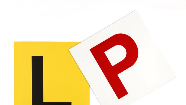 Learner & Probationary Plates on White Background GENERIC P PROVISIONAL PLATE