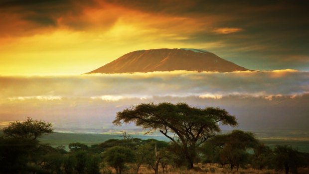 The high life: Mount Kilimanjaro.
