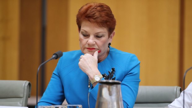 Senator Pauline Hanson will pay the ABC's legal costs after dropping a case against the broadcaster.